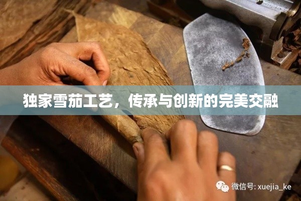 独家雪茄工艺,传承与创新的完美交融
