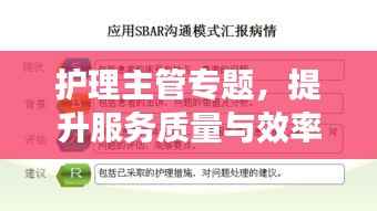 护理主管专题,提升服务质量与效率的核心要素解析