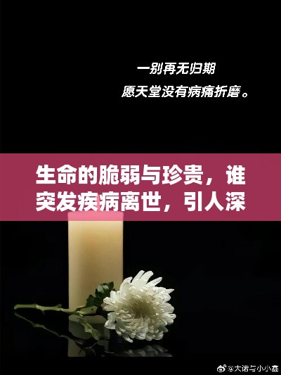 生命的脆弱与珍贵,谁突发疾病离世,引人深思