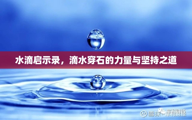 水滴启示录,滴水穿石的力量与坚持之道