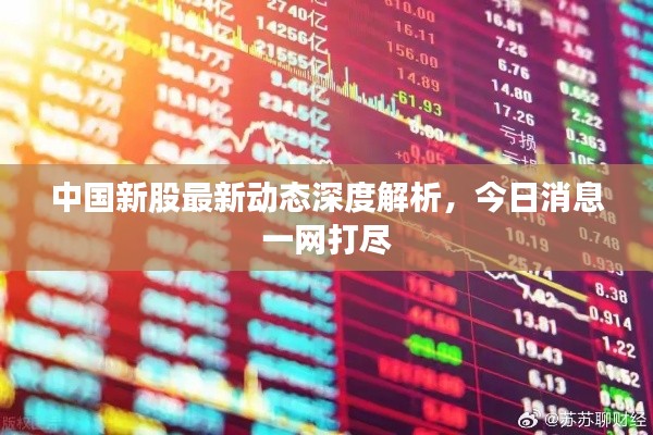 中国新股最新动态深度解析,今日消息一网打尽