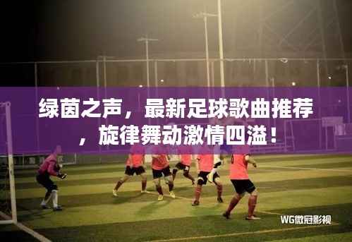 绿茵之声,最新足球歌曲推荐,旋律舞动激情四溢!