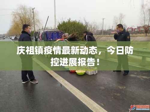 庆祖镇疫情最新动态,今日防控进展报告!