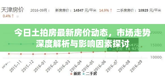 今日土拍房最新房价动态,市场走势深度解析与影响因素探讨
