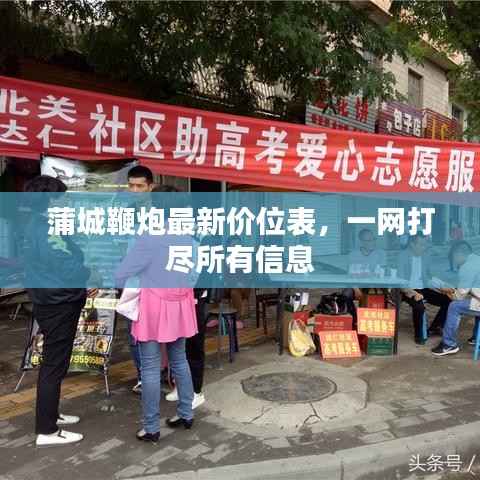 蒲城鞭炮最新价位表，一网打尽所有信息