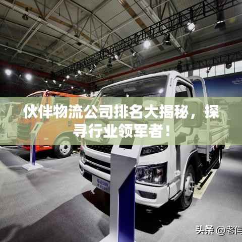 伙伴物流公司排名大揭秘，探寻行业领军者！