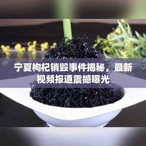 宁夏枸杞销毁事件揭秘,最新视频报道震撼曝光