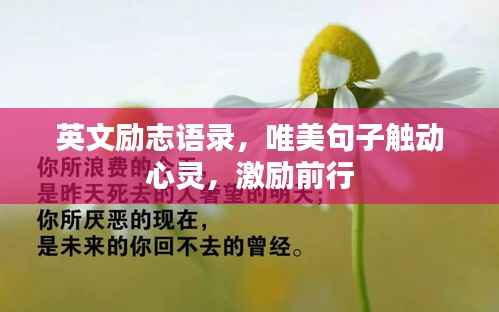 英文励志语录,唯美句子触动心灵,激励前行