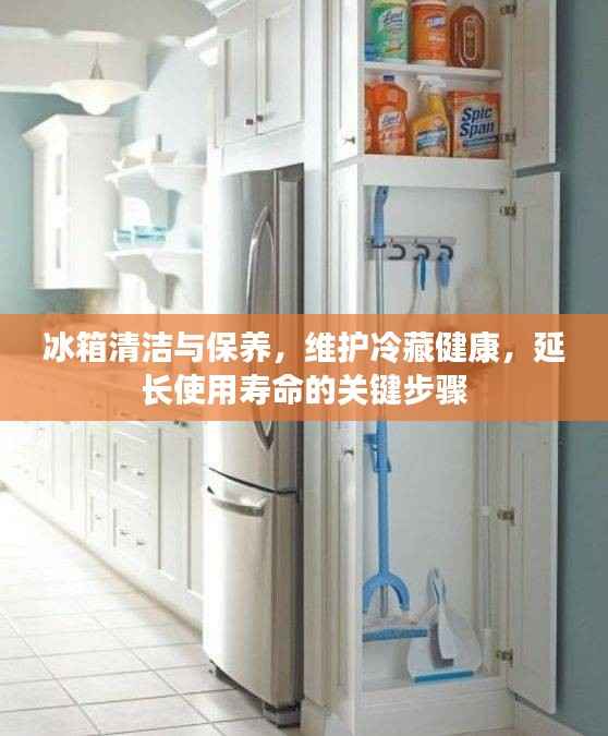 冰箱清洁与保养,维护冷藏健康,延长使用寿命的关键步骤
