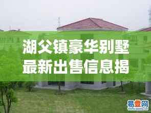 湖父镇豪华别墅最新出售信息揭秘