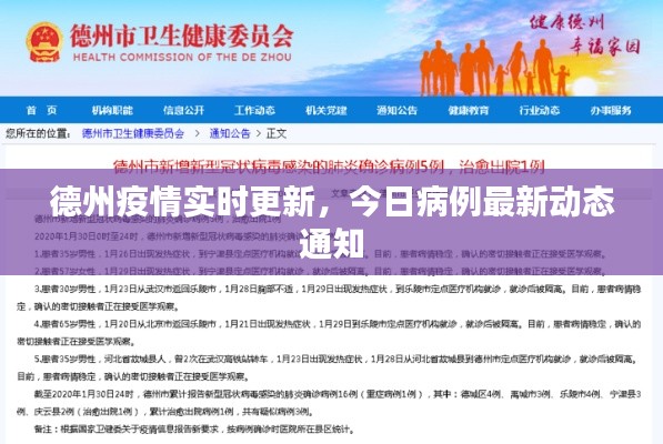 德州疫情实时更新,今日病例最新动态通知