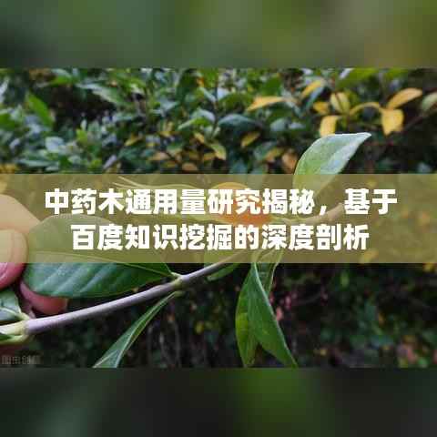 中药木通用量研究揭秘,基于百度知识挖掘的深度剖析