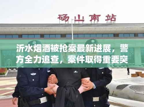 沂水烟酒被抢案最新进展,警方全力追查,案件取得重要突破!