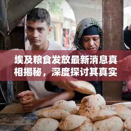 埃及粮食发放最新消息真相揭秘,深度探讨其真实性