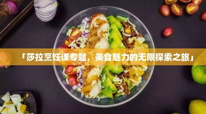 「莎拉烹饪课专题,美食魅力的无限探索之旅」