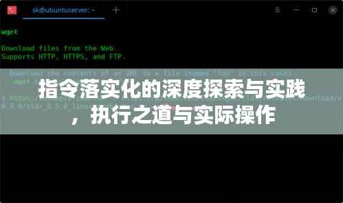 指令落实化的深度探索与实践,执行之道与实际操作