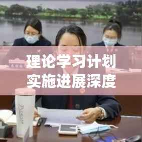 理论学习计划实施进展深度探讨,成效与挑战并存