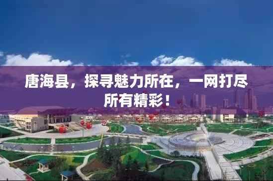 唐海县,探寻魅力所在,一网打尽所有精彩!