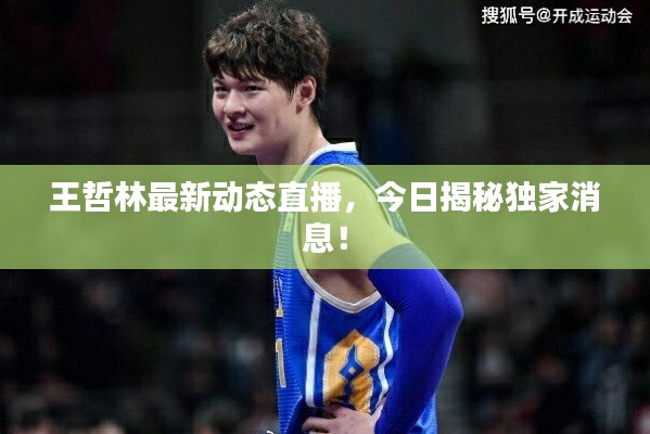 王哲林最新动态直播，今日揭秘独家消息！