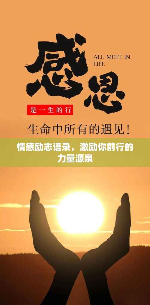 情感励志语录,激励你前行的力量源泉