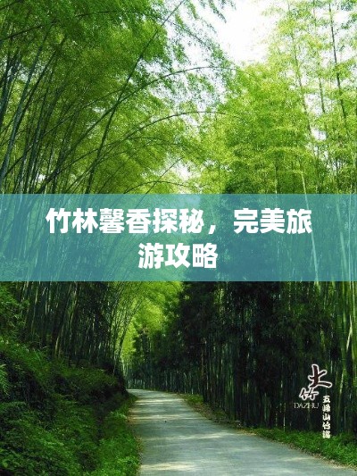 竹林馨香探秘,完美旅游攻略