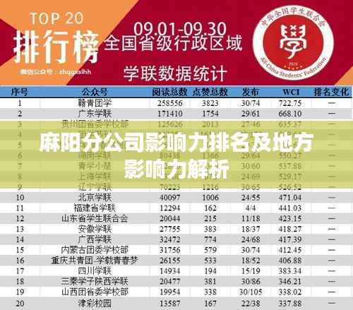 麻阳分公司影响力排名及地方影响力解析