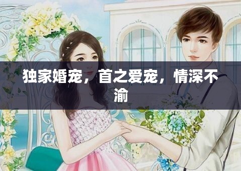 独家婚宠,首之爱宠,情深不渝