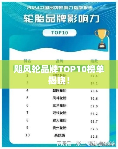 飓风轮品牌TOP10榜单揭晓!
